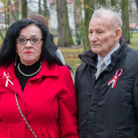 Wyświetl org. rozmiar