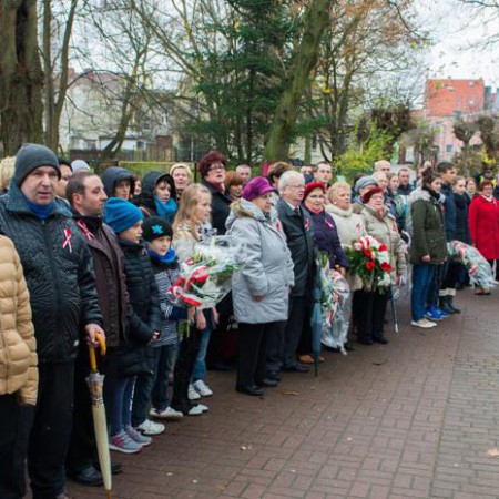 Wyświetl org. rozmiar