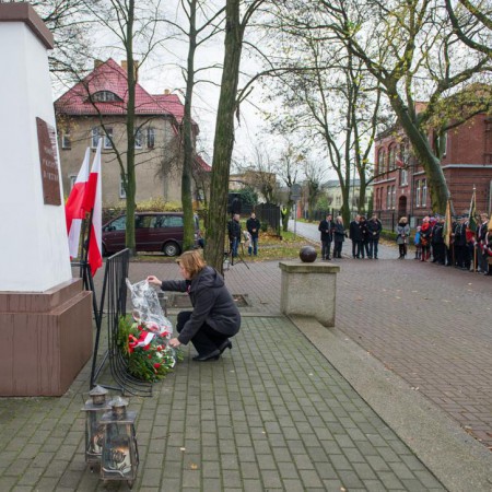 Wyświetl org. rozmiar