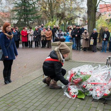 Wyświetl org. rozmiar