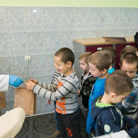 Wyświetl org. rozmiar