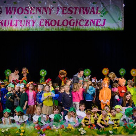 Wyświetl org. rozmiar