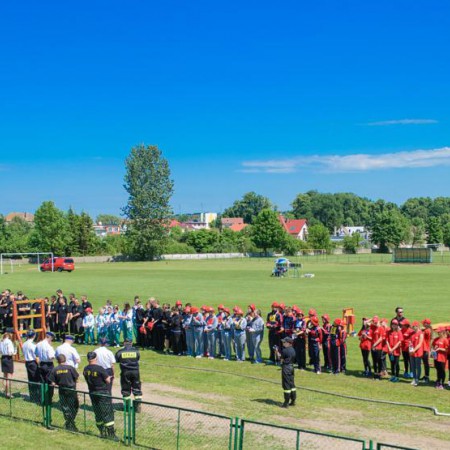 Wyświetl org. rozmiar