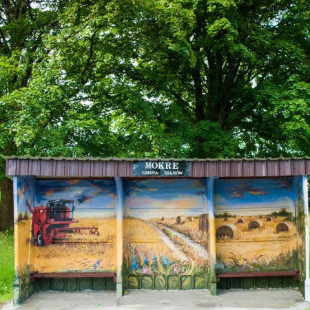 Wyświetl org. rozmiar