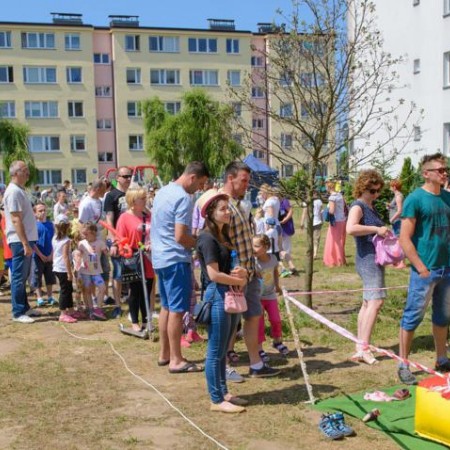Wyświetl org. rozmiar