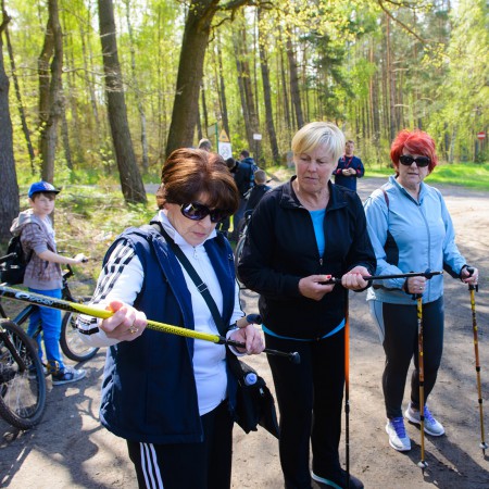 Wyświetl org. rozmiar