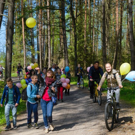 Wyświetl org. rozmiar