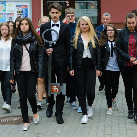 Wyświetl org. rozmiar