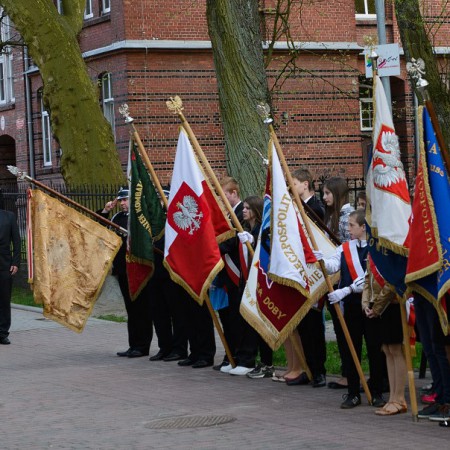 Wyświetl org. rozmiar