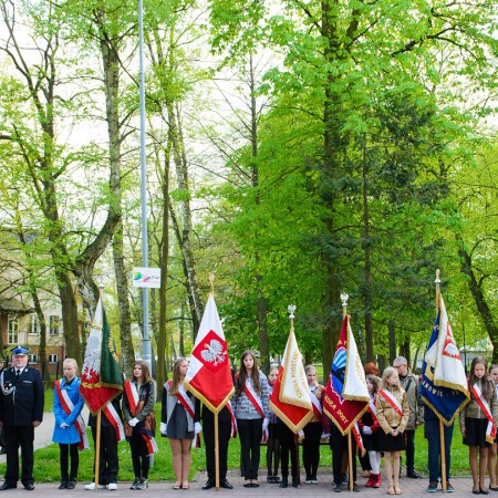 Wyświetl org. rozmiar