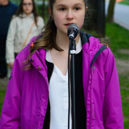 Wyświetl org. rozmiar