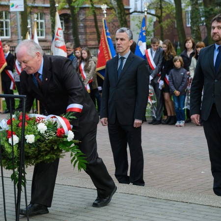 Wyświetl org. rozmiar