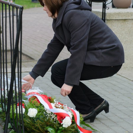 Wyświetl org. rozmiar