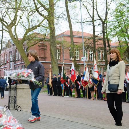 Wyświetl org. rozmiar