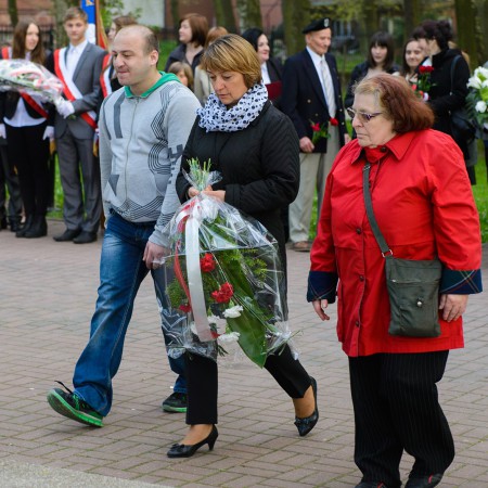 Wyświetl org. rozmiar