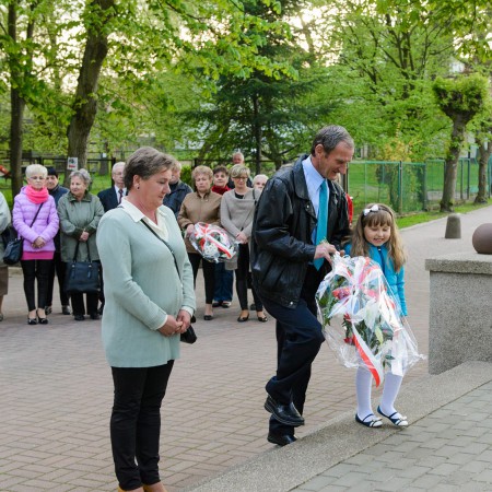 Wyświetl org. rozmiar