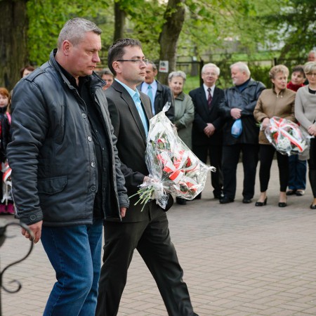 Wyświetl org. rozmiar