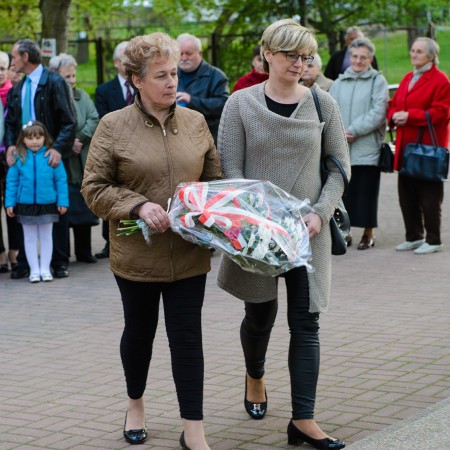 Wyświetl org. rozmiar
