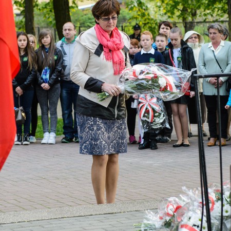 Wyświetl org. rozmiar