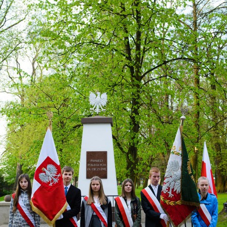 Wyświetl org. rozmiar