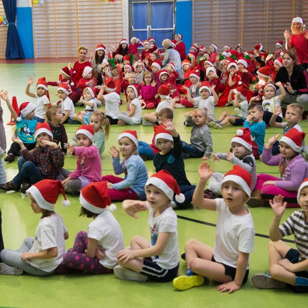 Wyświetl org. rozmiar