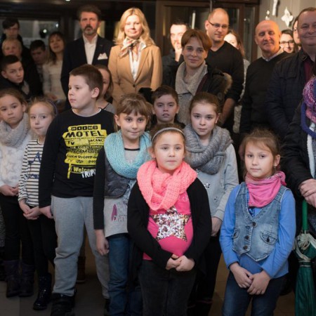 Wyświetl org. rozmiar