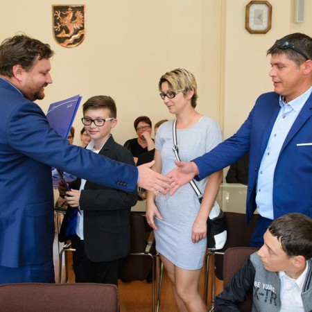 Wyświetl org. rozmiar