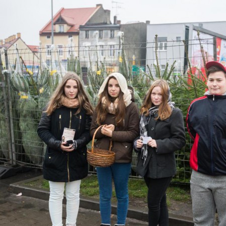 Wyświetl org. rozmiar