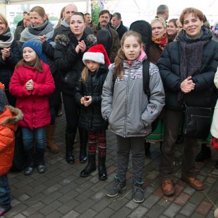 Wyświetl org. rozmiar