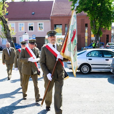 Wyświetl org. rozmiar
