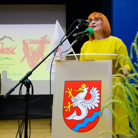 Wyświetl org. rozmiar