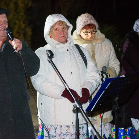 Wyświetl org. rozmiar