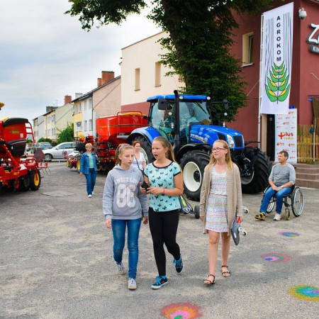 Wyświetl org. rozmiar