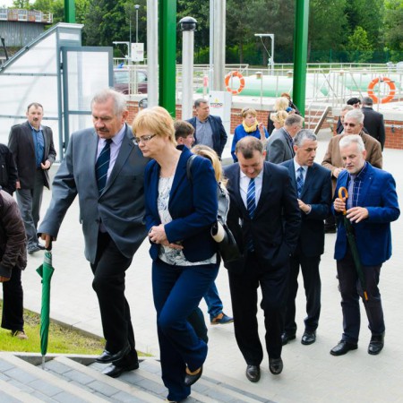 Wyświetl org. rozmiar