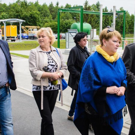 Wyświetl org. rozmiar