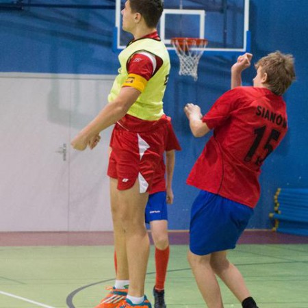 Wyświetl org. rozmiar