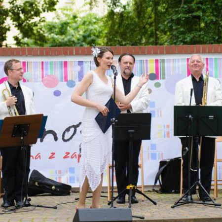 Wyświetl org. rozmiar