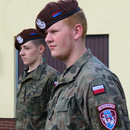 Wyświetl org. rozmiar