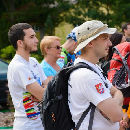 Wyświetl org. rozmiar