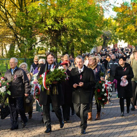 Wyświetl org. rozmiar