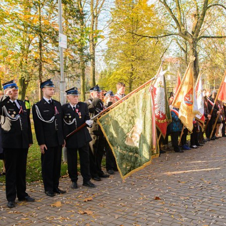Wyświetl org. rozmiar