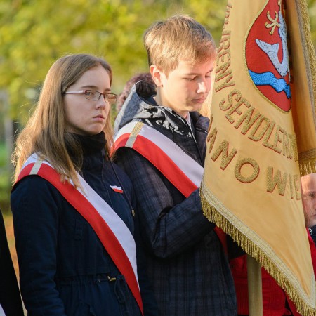 Wyświetl org. rozmiar