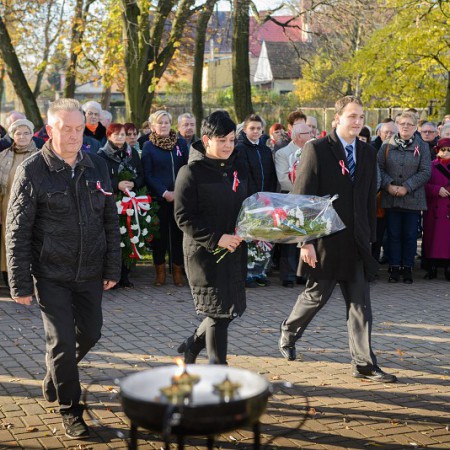 Wyświetl org. rozmiar