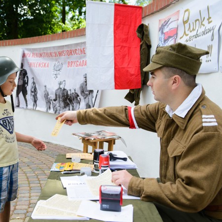 Wyświetl org. rozmiar
