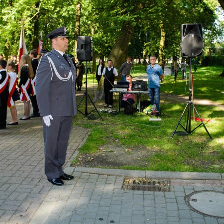 Wyświetl org. rozmiar