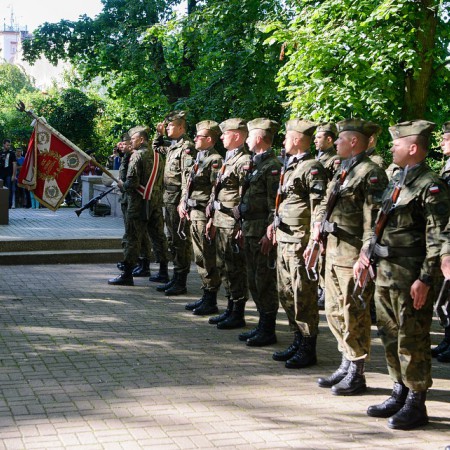 Wyświetl org. rozmiar