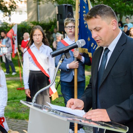 Wyświetl org. rozmiar