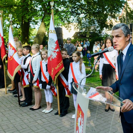 Wyświetl org. rozmiar