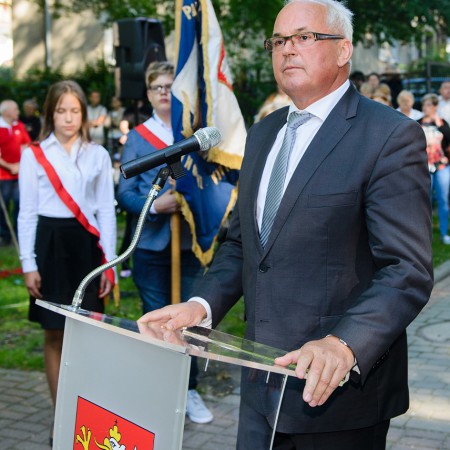 Wyświetl org. rozmiar