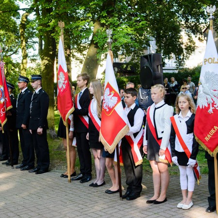Wyświetl org. rozmiar
